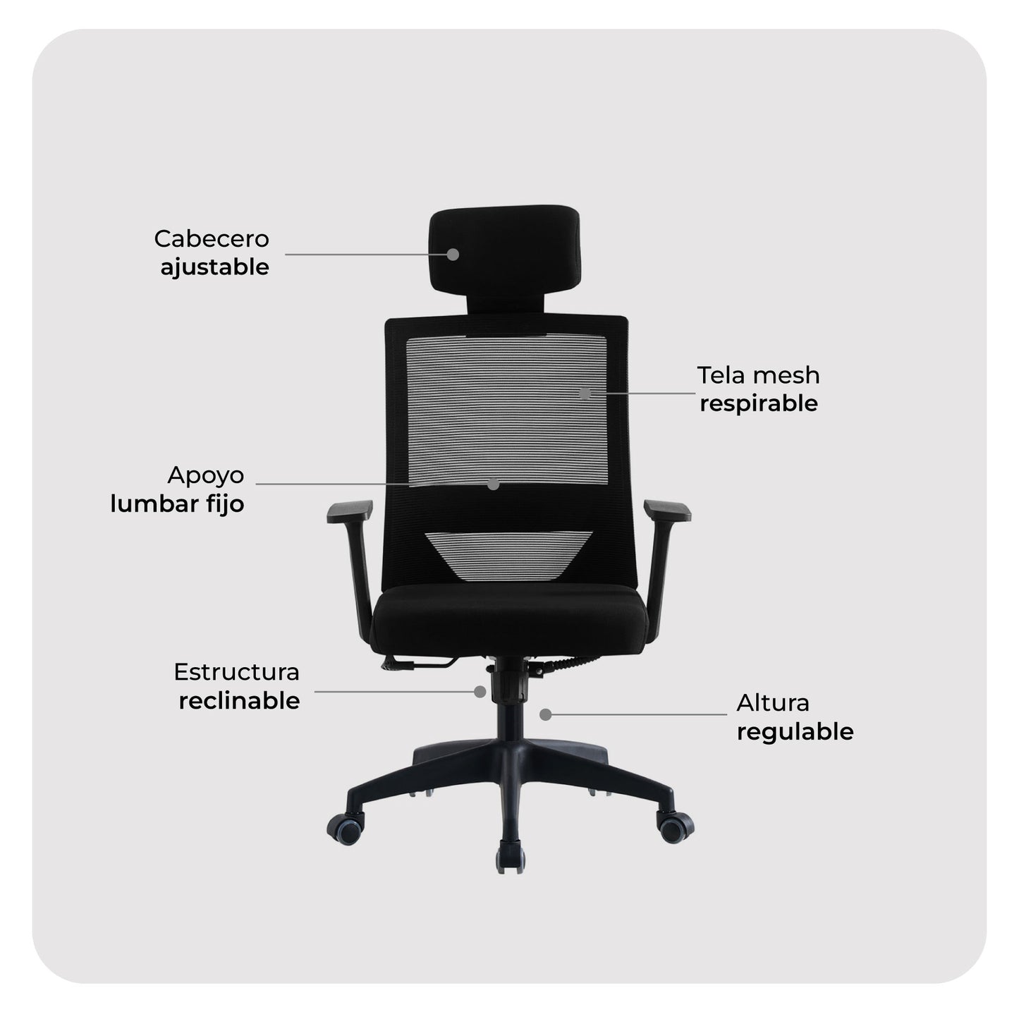 Silla de Oficina Presidente Axton Negra