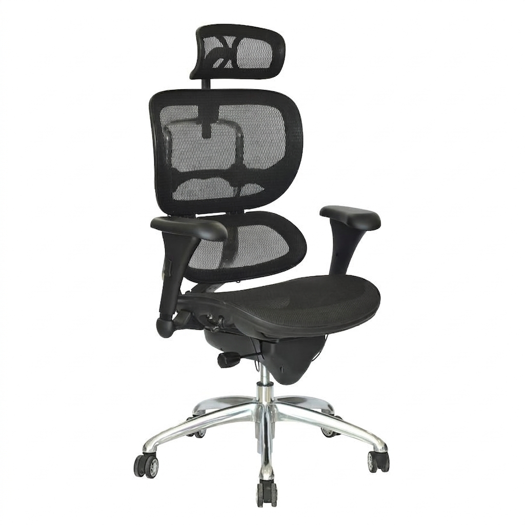 Silla de Oficina Presidente ErgoHuman Eco