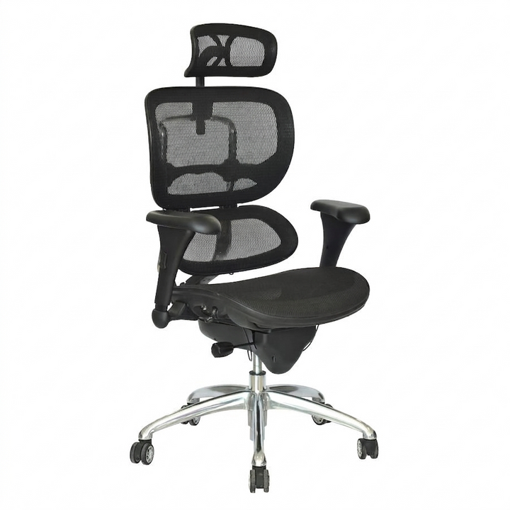 Silla de Oficina Presidente ErgoHuman Eco