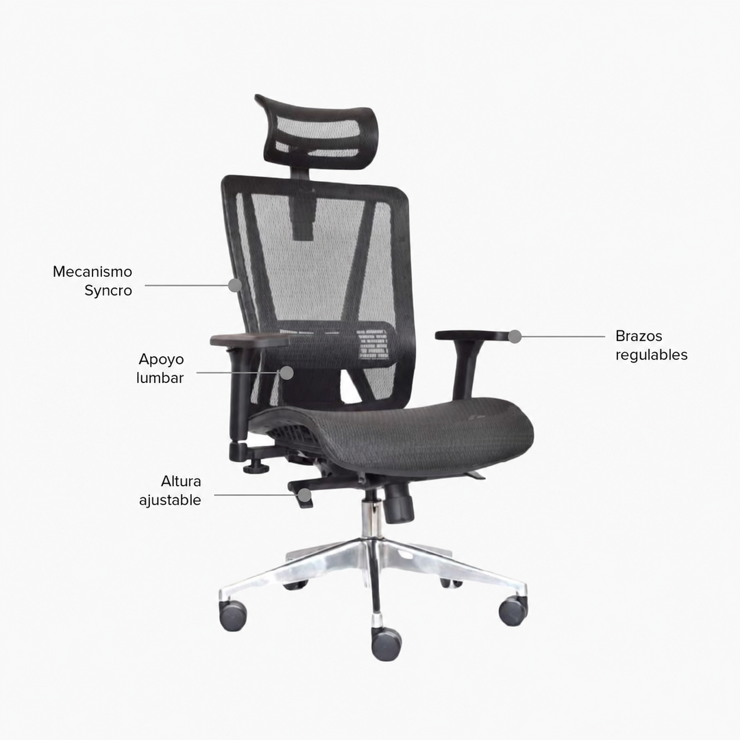 Silla de Oficina Presidente Neffi