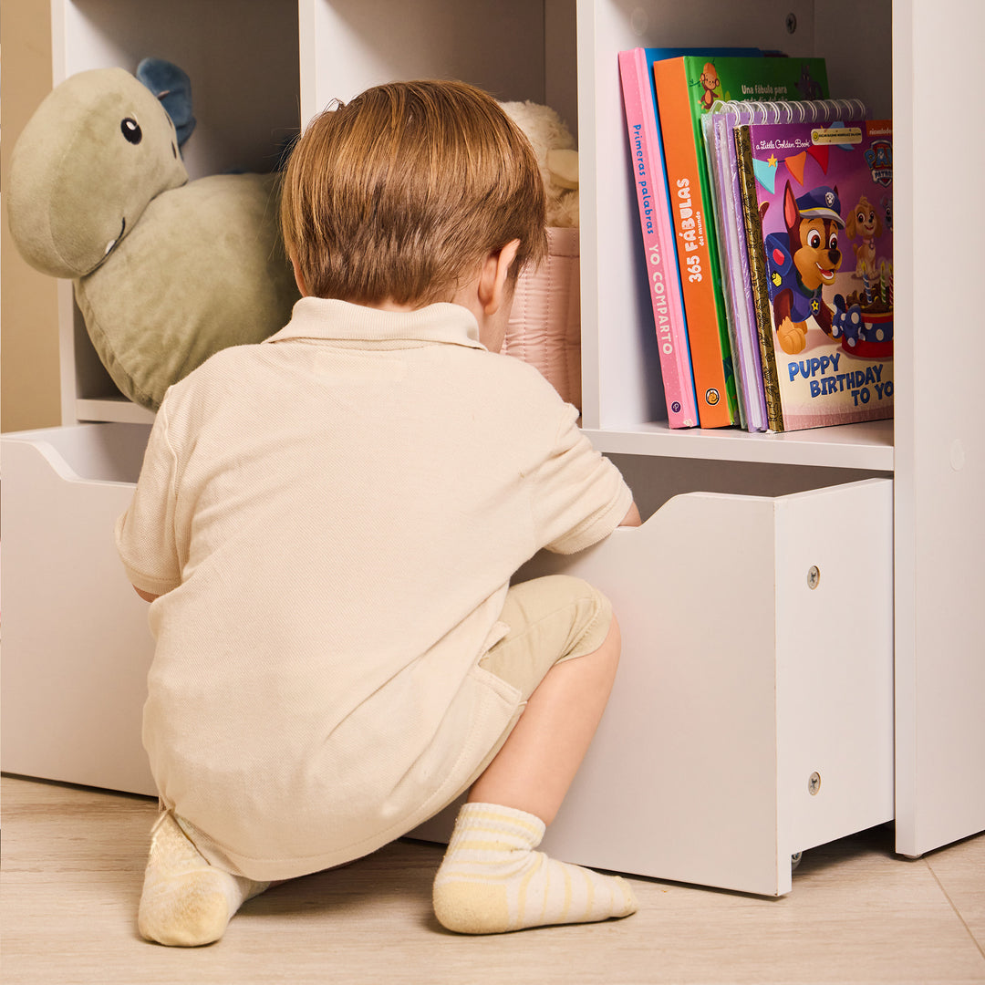 Biblioteca Organizadora Para Niños Saga
